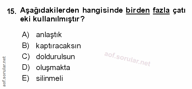 Soru 15