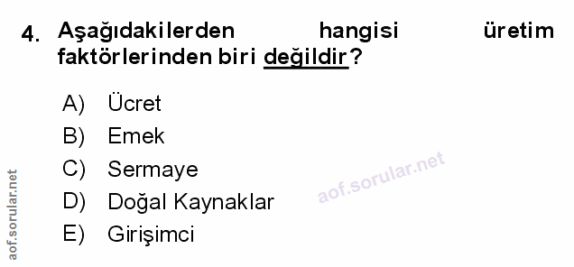 Soru 4