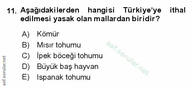 Soru 11
