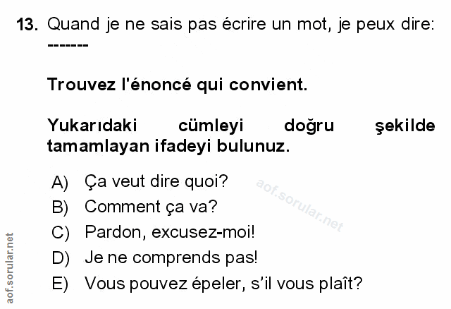 Soru 13