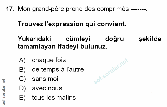 Soru 17