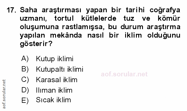 Soru 17
