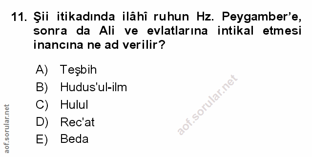 Soru 11