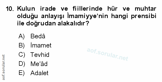 Soru 10