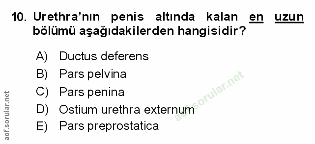Soru 10