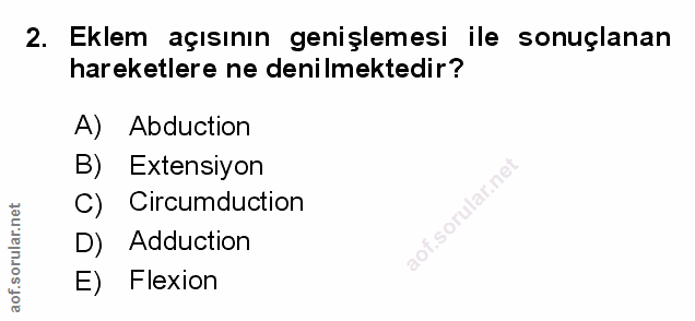 Soru 2
