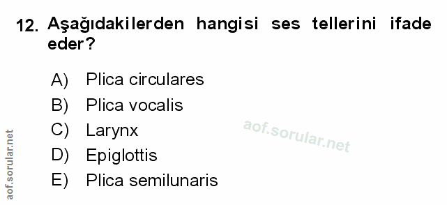Soru 12