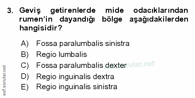 Soru 3