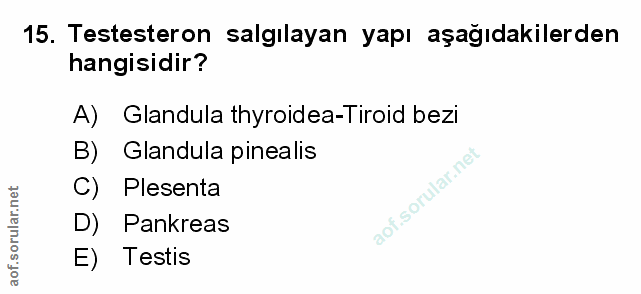 Soru 15