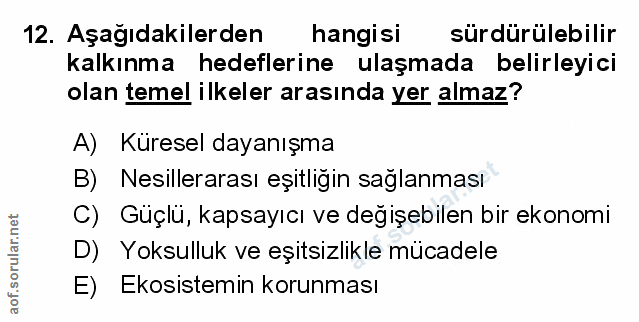 Soru 12