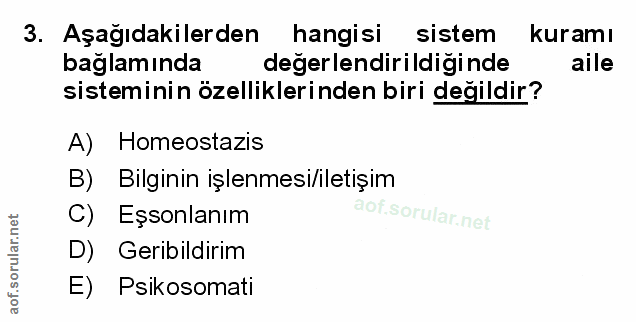 Soru 3