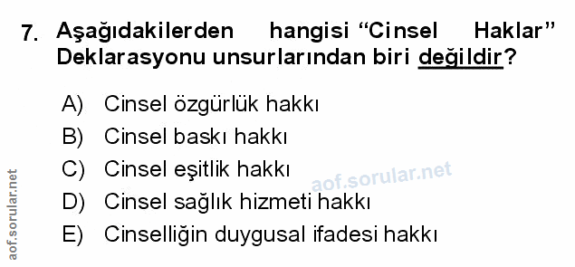 Soru 7