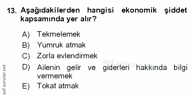 Soru 13