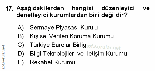 Soru 17