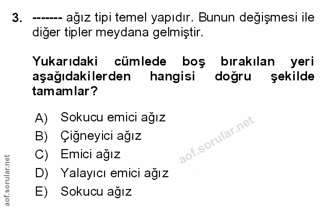 Soru 3