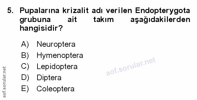 Soru 5