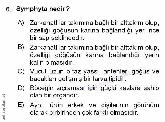 Soru 6