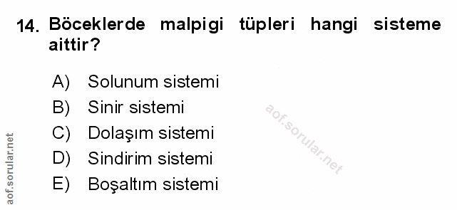 Soru 14