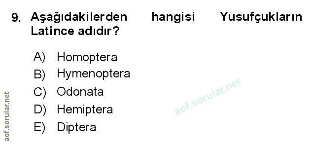 Soru 9