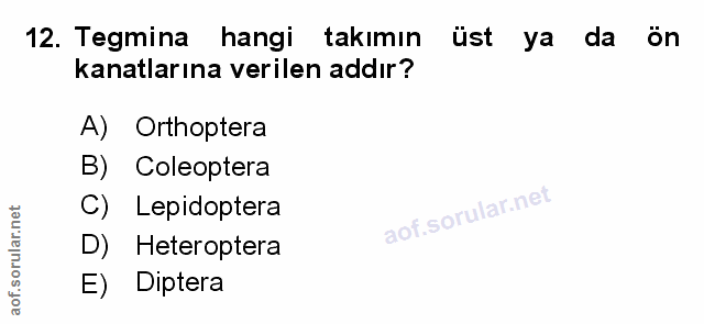 Soru 12