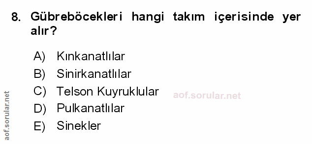 Soru 8