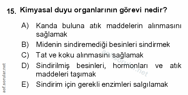 Soru 15