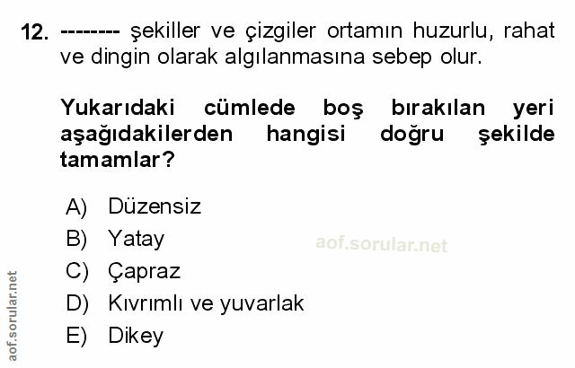 Soru 12