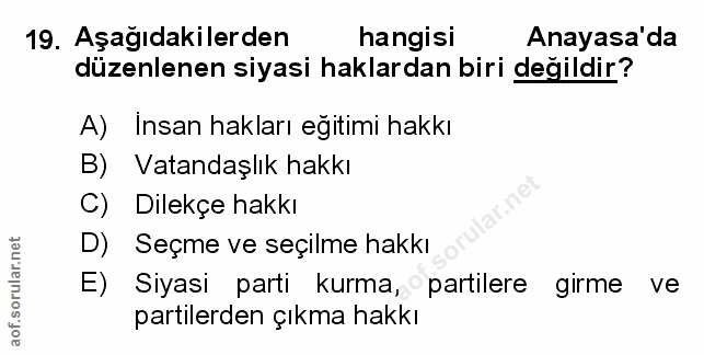 Soru 19
