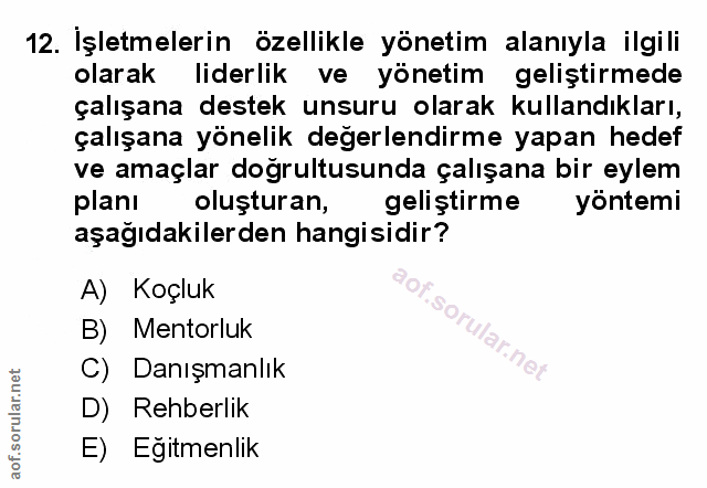 Soru 12