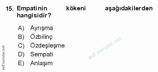 Soru 15