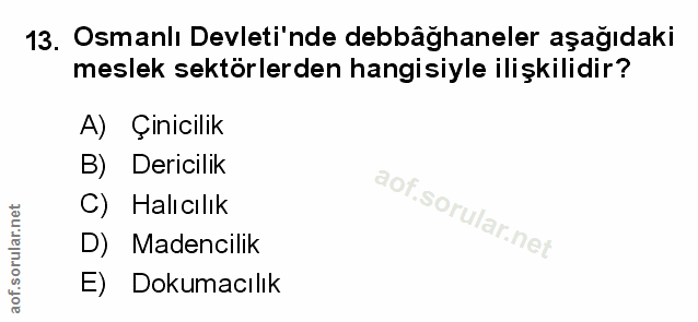 Soru 13