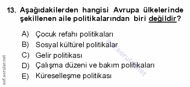 Soru 13
