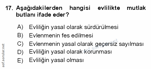 Soru 17