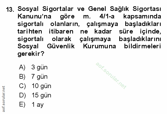 Soru 13
