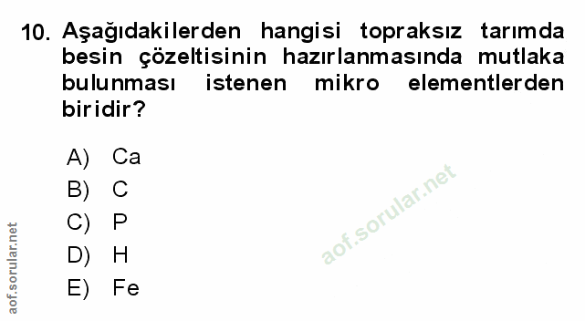 Soru 10