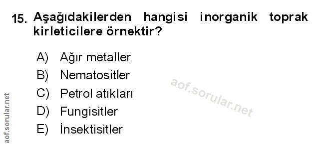 Soru 15