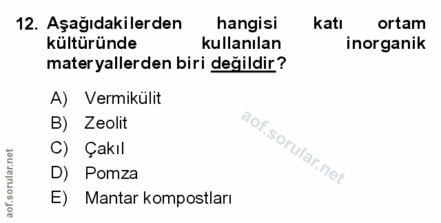 Soru 12