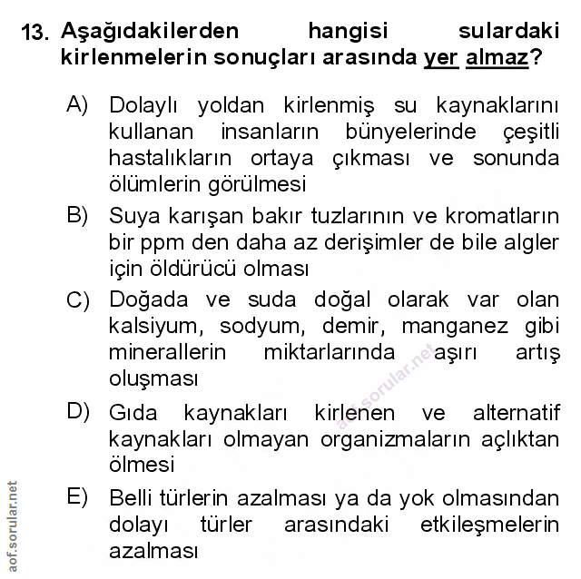 Soru 13