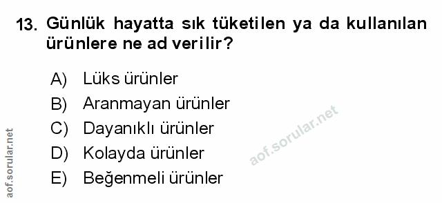 Soru 13