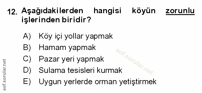 Soru 12