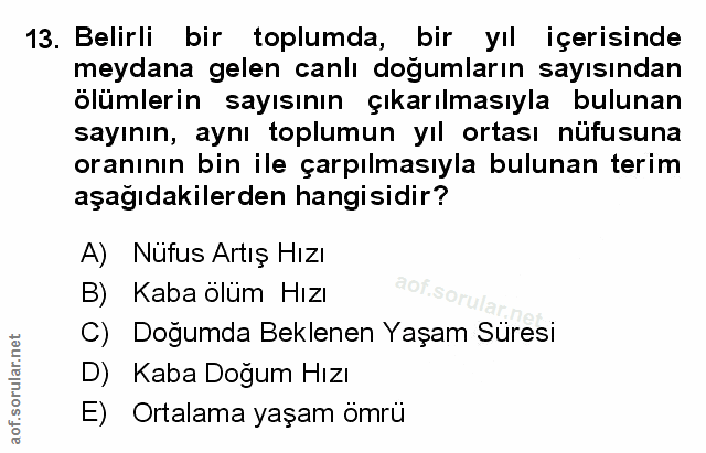 Soru 13
