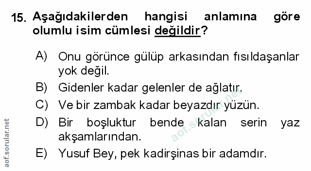 Soru 15