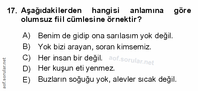 Soru 17