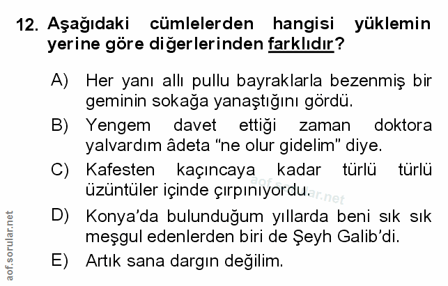 Soru 12