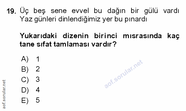 Soru 19