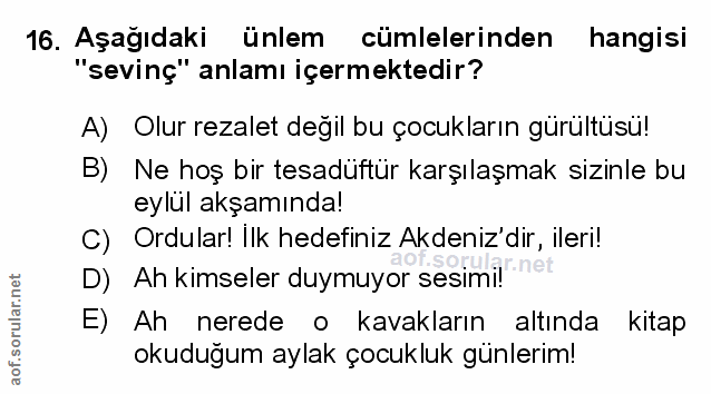 Soru 16