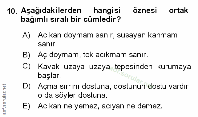 Soru 10