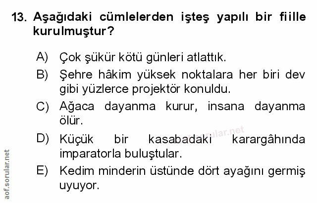 Soru 13