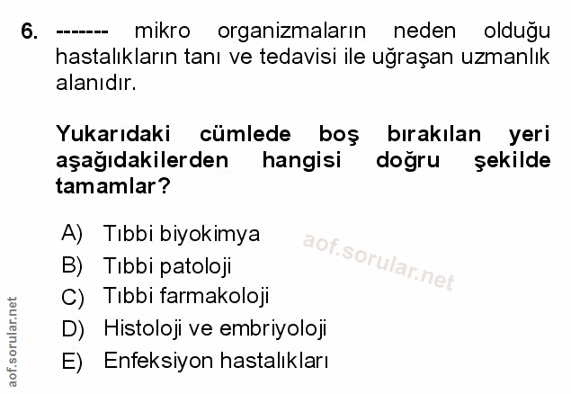 Soru 6