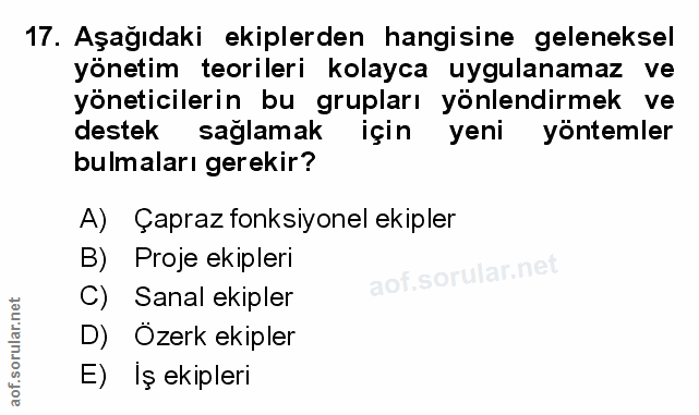 Soru 17